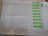 Visualizza l'immagine nelle dimensioni originali