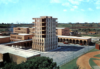 Visualizza l'immagine nelle dimensioni originali