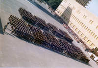 Visualizza l'immagine nelle dimensioni originali