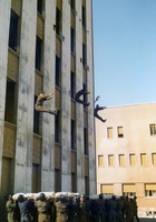 Visualizza l'immagine nelle dimensioni originali