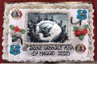 Visualizza l'immagine nelle dimensioni originali