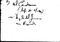 Visualizza l'immagine nelle dimensioni originali