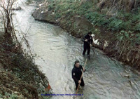 Visualizza l'immagine nelle dimensioni originali