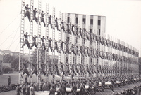 Visualizza l'immagine nelle dimensioni originali