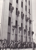 Visualizza l'immagine nelle dimensioni originali