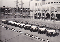 Visualizza l'immagine nelle dimensioni originali