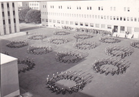 Visualizza l'immagine nelle dimensioni originali