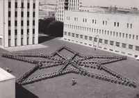 Visualizza l'immagine nelle dimensioni originali