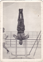 Visualizza l'immagine nelle dimensioni originali