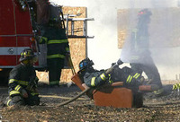 Visualizza l'immagine nelle dimensioni originali