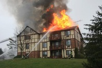 Visualizza l'immagine nelle dimensioni originali