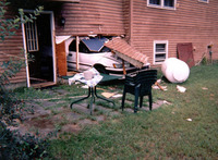 Visualizza l'immagine nelle dimensioni originali