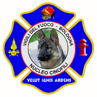 Visualizza l'immagine nelle dimensioni originali