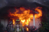 Visualizza l'immagine nelle dimensioni originali