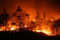 Visualizza l'immagine nelle dimensioni originali