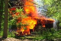 Visualizza l'immagine nelle dimensioni originali