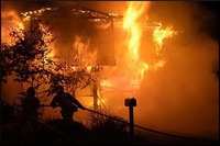 Visualizza l'immagine nelle dimensioni originali