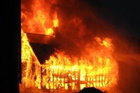 Visualizza l'immagine nelle dimensioni originali