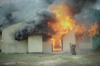 Visualizza l'immagine nelle dimensioni originali