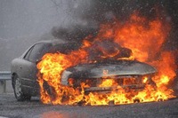 Visualizza l'immagine nelle dimensioni originali