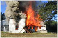 Visualizza l'immagine nelle dimensioni originali