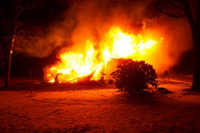 Visualizza l'immagine nelle dimensioni originali