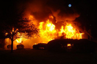 Visualizza l'immagine nelle dimensioni originali