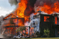 Visualizza l'immagine nelle dimensioni originali