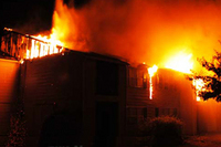 Visualizza l'immagine nelle dimensioni originali