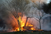 Visualizza l'immagine nelle dimensioni originali