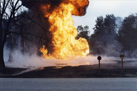 Visualizza l'immagine nelle dimensioni originali