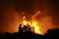 Visualizza l'immagine nelle dimensioni originali