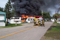 Visualizza l'immagine nelle dimensioni originali