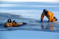 Visualizza l'immagine nelle dimensioni originali