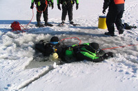 Visualizza l'immagine nelle dimensioni originali