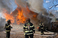 Visualizza l'immagine nelle dimensioni originali