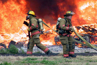 Visualizza l'immagine nelle dimensioni originali