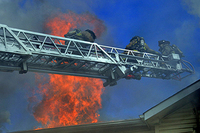 Visualizza l'immagine nelle dimensioni originali