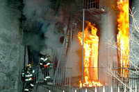 Visualizza l'immagine nelle dimensioni originali