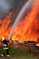 Visualizza l'immagine nelle dimensioni originali