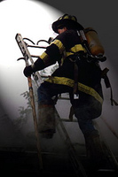 Visualizza l'immagine nelle dimensioni originali