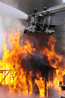 Visualizza l'immagine nelle dimensioni originali