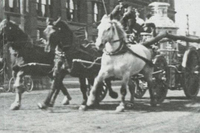 Visualizza l'immagine nelle dimensioni originali