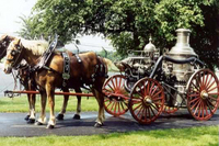 Visualizza l'immagine nelle dimensioni originali