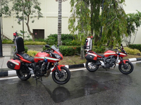 Visualizza l'immagine nelle dimensioni originali