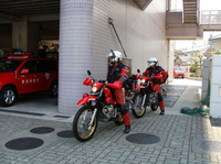 Visualizza l'immagine nelle dimensioni originali