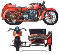 Visualizza l'immagine nelle dimensioni originali