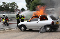 Visualizza l'immagine nelle dimensioni originali