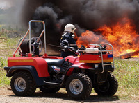 Visualizza l'immagine nelle dimensioni originali