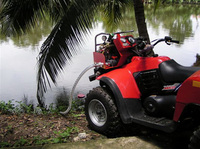 Visualizza l'immagine nelle dimensioni originali